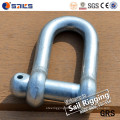 Chinese Manufacture Lifting D Ring Anchor Shackle